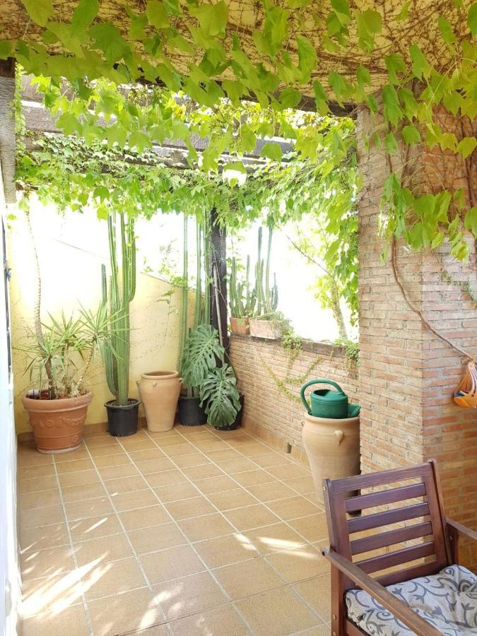 Piso En El Albaicin Alto, Junto Al Mirador De San Miguel Alto. Granada. Appartement Buitenkant foto